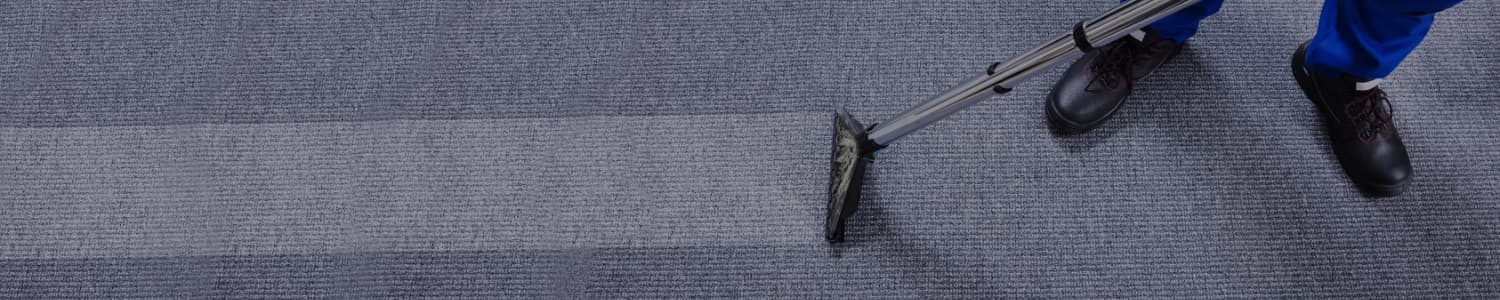 Professionally cleaned carpet